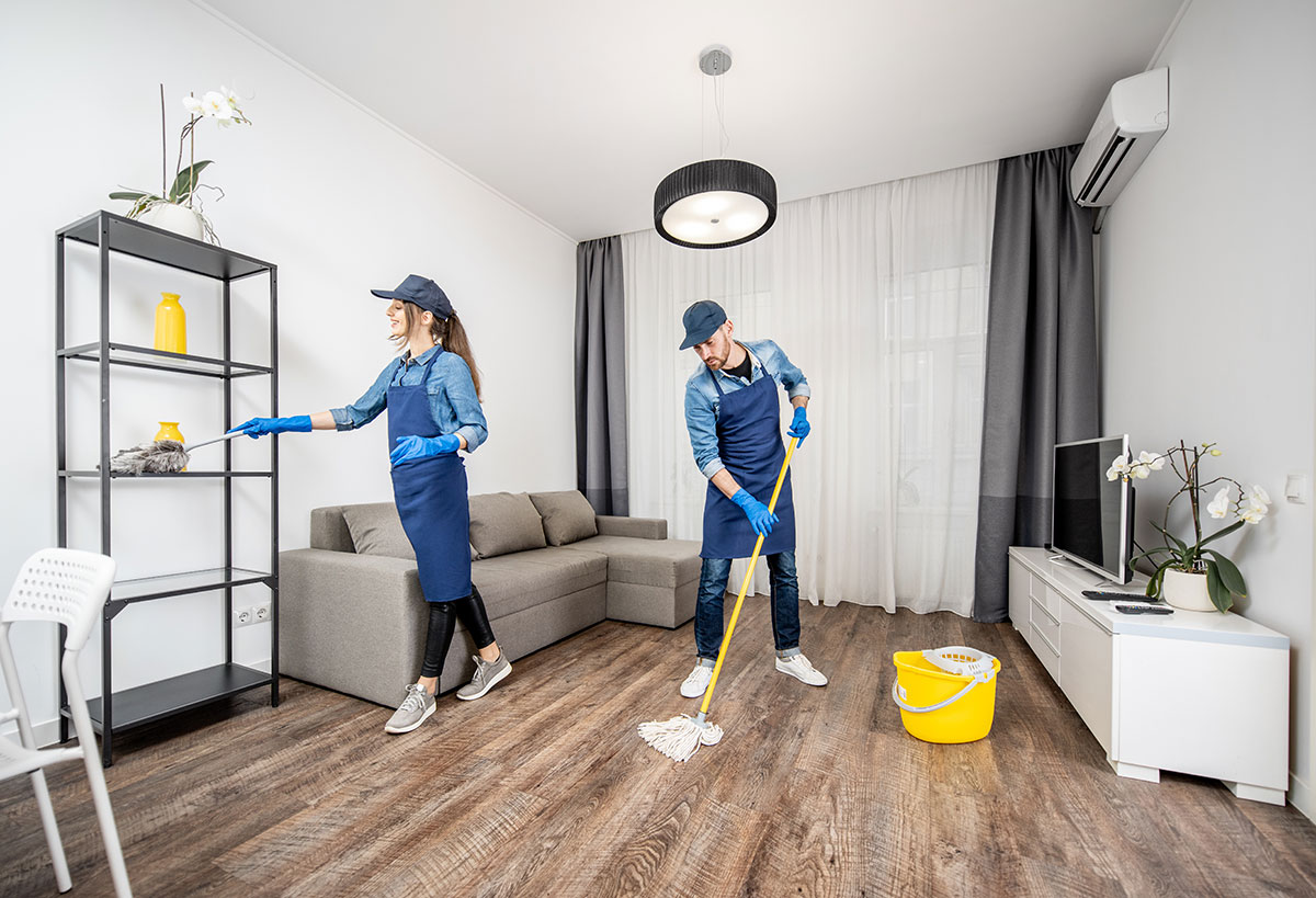 mesee